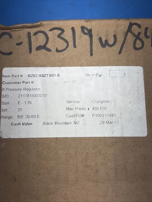 NEW CASH Valve BZECSSZTS01-E