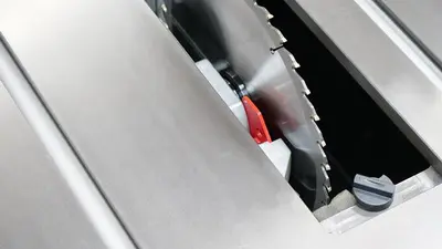 NEW LAGUNA F1