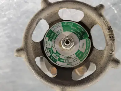 USED FLOWSERVE 22461