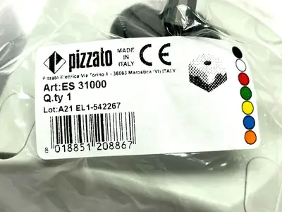 New | in-Stock Pizzato ES 31000 Relays & Switches Michigan US | Maverick Industrial Sales #1495571