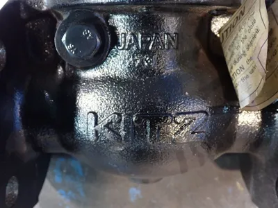 Used WATTS F511 Pumps Ohio US | HGR 24 #884978