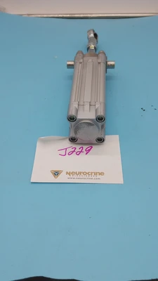 USED FESTO DNC-32-50-P-A-30K8-S11