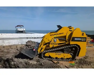 Used BAUMALIGHT _UNKNOWN_ Compact Track Loaders Iowa US | Keast Enterprises #1360114