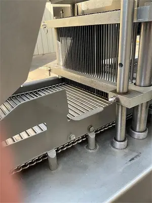 Used ROSS TENDERIZER Meat Processing Equipment British Columbia CA | Surrey Food Equipment #1493637