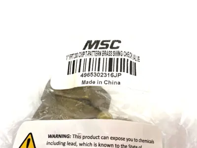 NEW MSC, VALUE COLLECTION 4965302316JP CHECK VALVE: 1" PIPE CHECK SWING