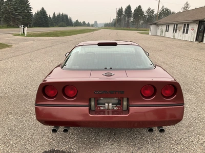 Used 1987 CHEVROLET CORVETTE Classic Cars & Trucks Michigan US | Miedema Asset Management Group #1316101