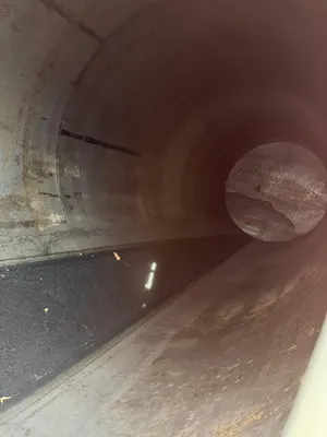 Gallon Tank Tank | ListingHippo (11)