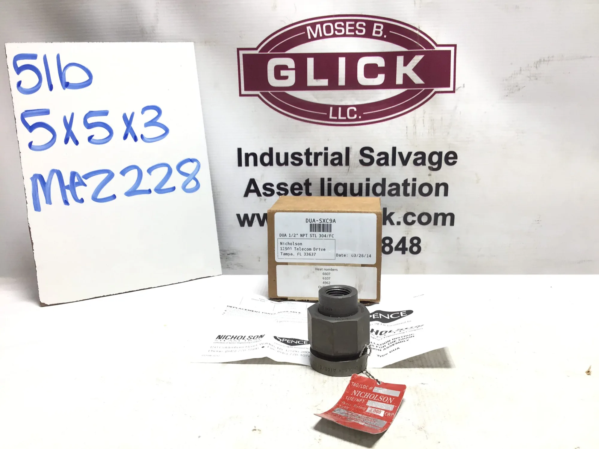 Nicholson Steam Trap 3000 psi DUA-SXC9A