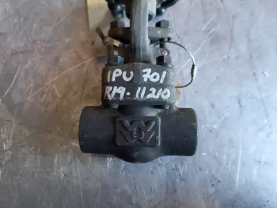 3/4" Class 800 Gate Valve B16.34