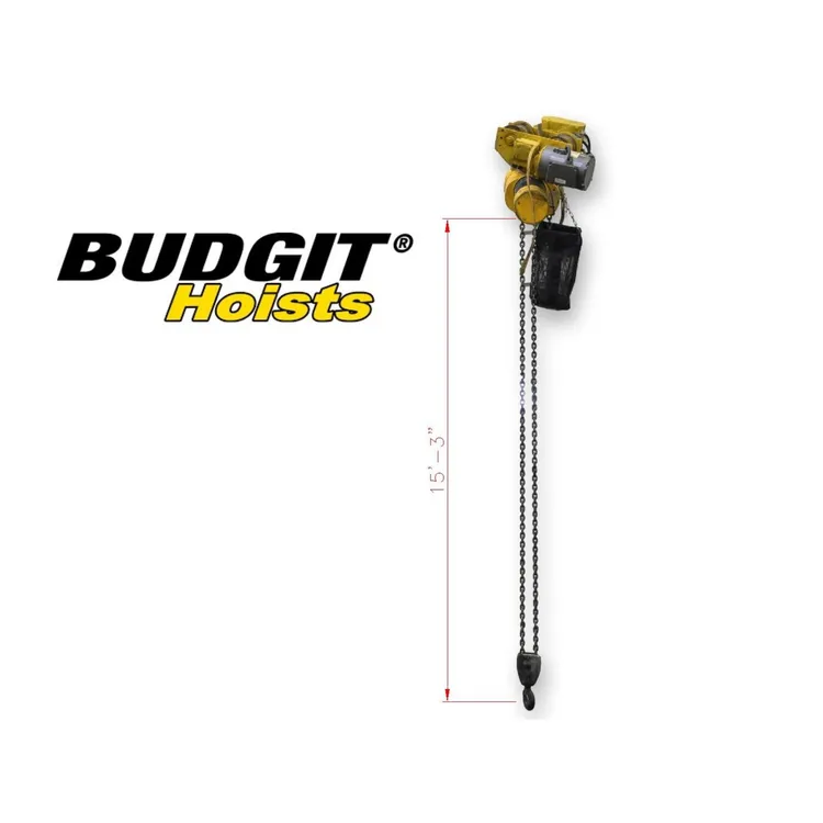 Used YALE/LIFT-TECH BEHC0216 Hoists (All Types) West Virginia US | JM Industrial #493794