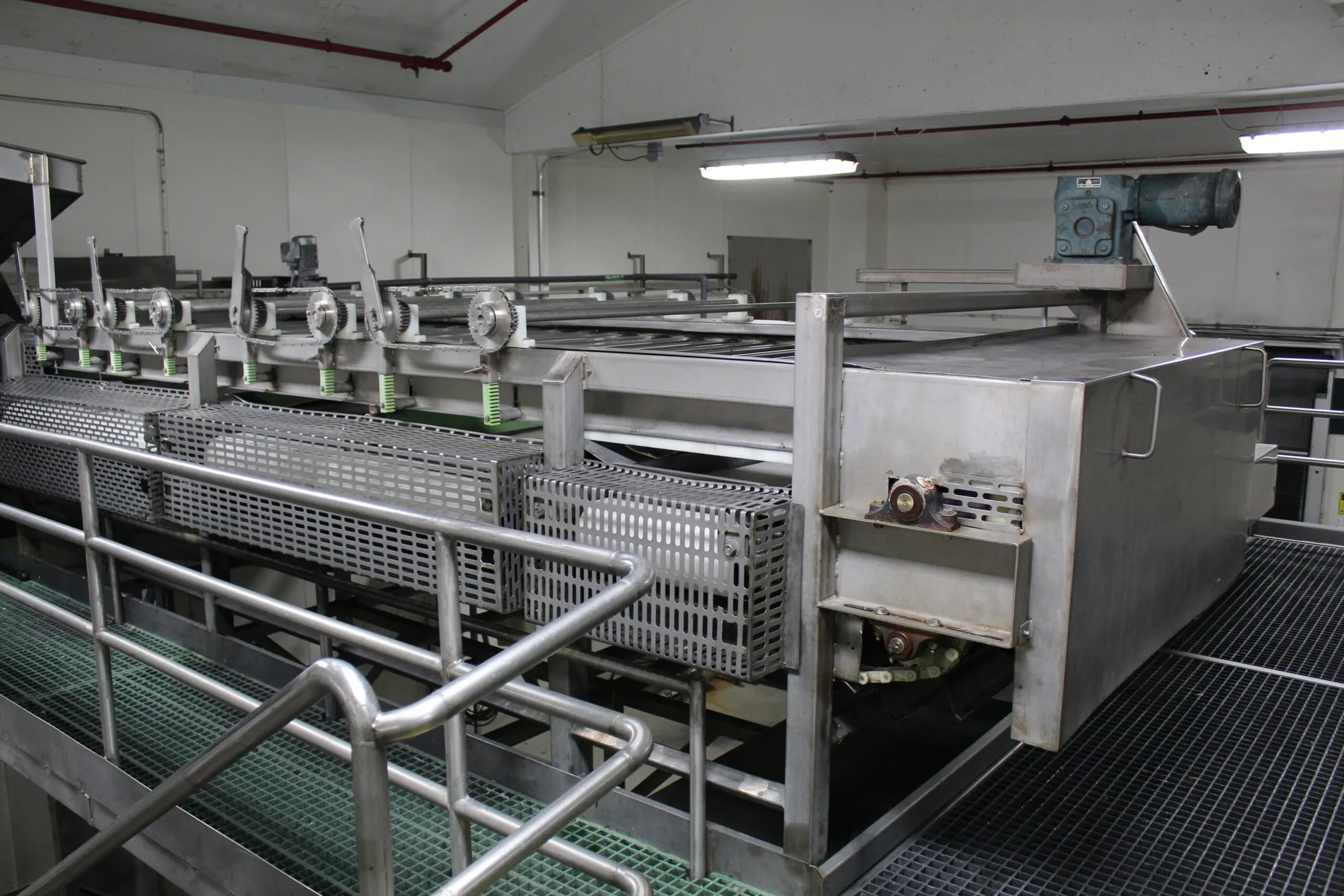 Roll Sizer W/Infeed Belt Conveyor