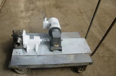 Pump, Positive, Sta-Rite, S/st, 1 HP, 2" #S741950