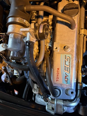 USED 2019 TOYOTA 8FGCU25
