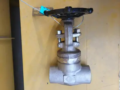 1" Class 800 Gate Valve API 602