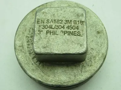 EN SA182 3M B16 F304L/304 4504 3" Stainless Steel Plug