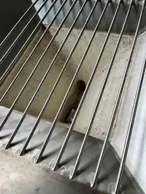 portable stainless steel screw feeder.