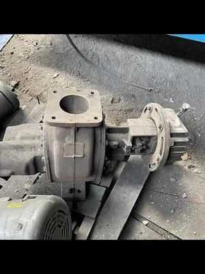 Viking or Roper Gear Pump