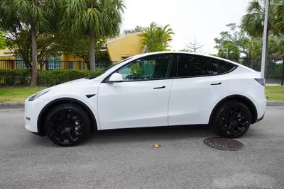 Used 2022 TESLA MODEL Y SUVs Florida US | Truck and Van Outlet #1509246