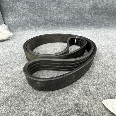 New | in-Stock Jason RB-148 Belts California US | Davliegogo LLC #1705405
