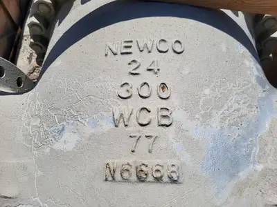 NEW NEWCO 13F-CB2-G0