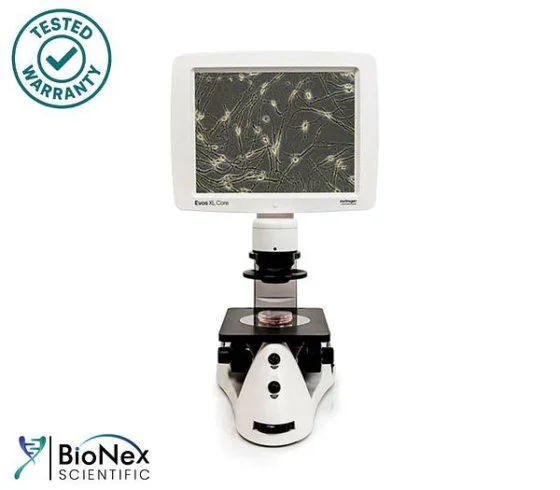 Used INVITROGEN EVOS XL CORE Microscopes New Jersey US | Bionex Scientific LLC #800094