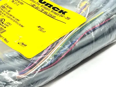 RK 12T-6 | Turck  Eurofast Cordset M12 Female 6M Length U0911-16 - New
