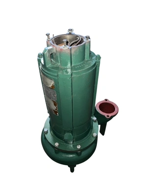 Used CRANE DEMING _UNKNOWN_ Submersible Pumps MX | MAQUINARIA PECUSA #1464854