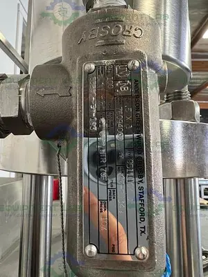 USED VARIAN L & L4006MLWJ LOAD & LOCK 6" CHROMATOGRAPHY COLUMN ON SKID W/ FEED PUMP