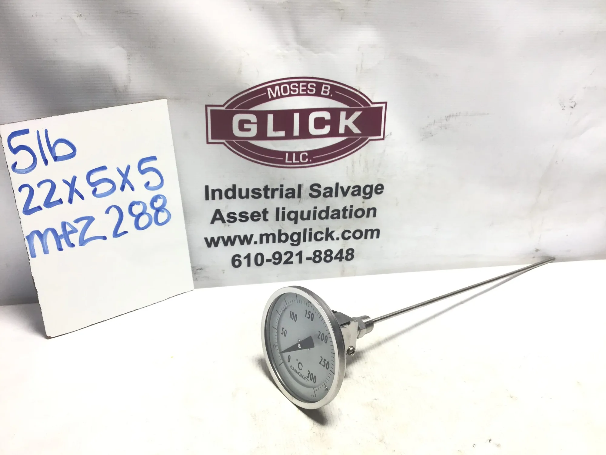 Ashcroft Stainless Steel 0-300 °C Thermometer