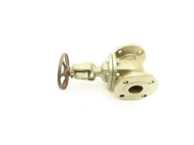 Aloyco FIG 117 2" Gate Valve SS Rising Stem Flanged Ends Bolted Bonnet CF8M