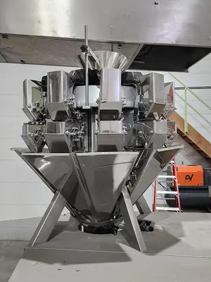 Used Form Fill Seal Packager with 10 Head Rotary Scale