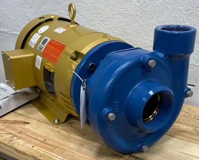 Goulds _UNKNOWN_ Other Pumps | Fram Fram LLC (4)