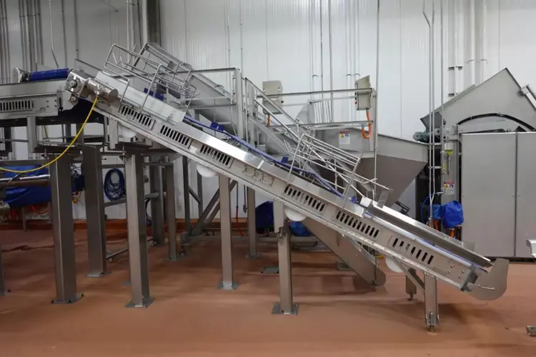 Used 2023 COZZINI CBC-5 Belt Conveyors Illinois US | M&M Equipment Corp. #1341246