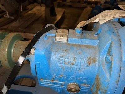 USED Goulds 3196MTi