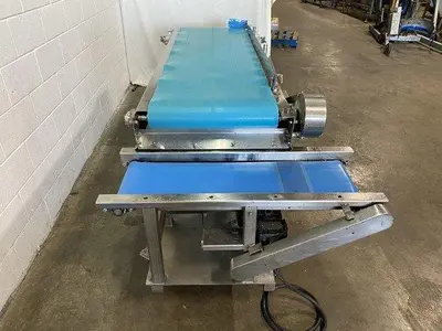 Food-Grade Conveyor With Diverter Conveyor