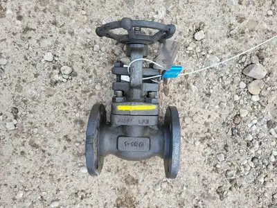 NEW 2019 DHV F1151F73
