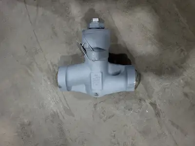 2" Class 900 Globe Valve B16.34