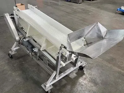 Safeline 4'L Incline Infeed Conveyor