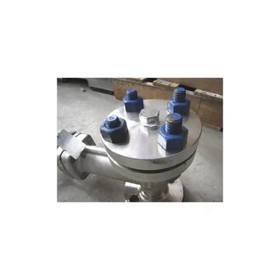 Eagle America 1" Forged Stainless Steel Gate Valve - W8 Series