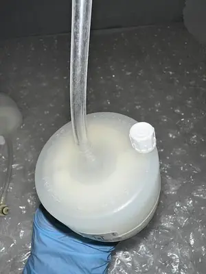 BD BIOSCIENCES FILTER FLOW