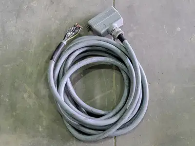 Cable 16AWG/25C 600V, 24 ft