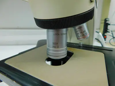 Used LEICA DM1000 Miscellaneous Laboratory Equipment Texas US | Aucto #1453333