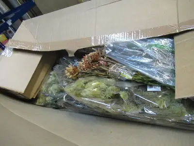 Pallet of Store Overstock and Ecommerce Product and Returns - Vickerman Christmas