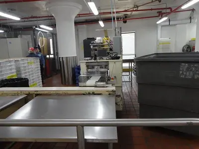 USED DO-BOY SUPER MUSTANG