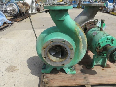 USED Goulds 3196 XLT