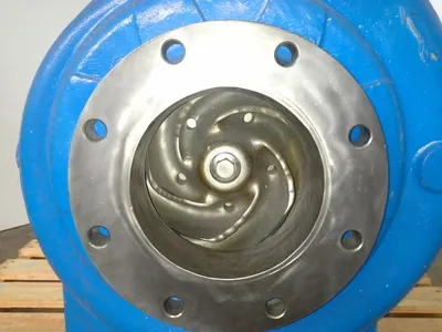 USED Goulds 3175