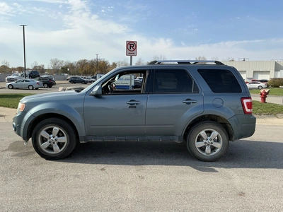 Used 2010 FORD ESCAPE Utility Vehicles Michigan US | Miedema Asset Management Group #1732718