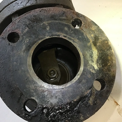 Lunkenheimer 125 SP Swing Check Valve 3″ Backflow Preventer