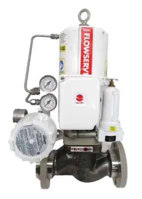 NEW FLOWSERVE 7310-18107FV CONTROL VALVE NT3000 2" NT3002102SN1W00 731018107FV