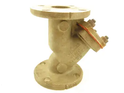 Mueller Steam Specialty 278101 Y-Strainer Valve Flanged 2" CF8M